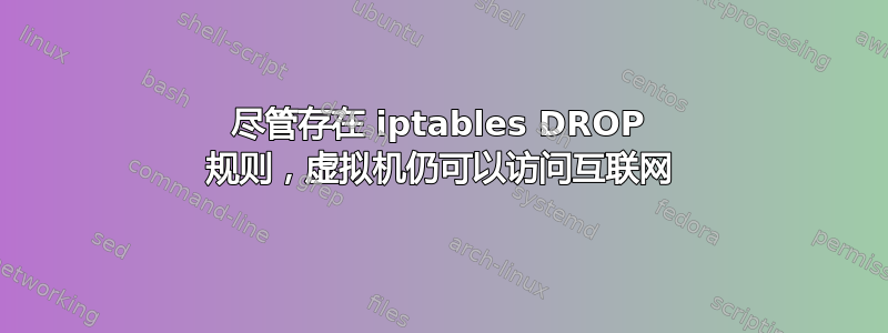 尽管存在 iptables DROP 规则，虚拟机仍可以访问互联网