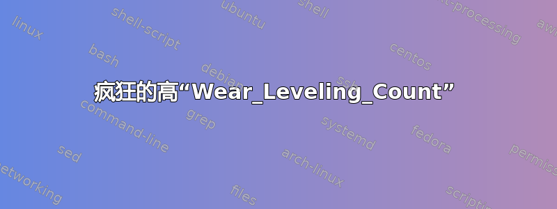 疯狂的高“Wear_Leveling_Count”