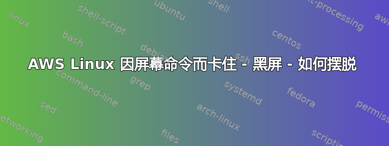 AWS Linux 因屏幕命令而卡住 - 黑屏 - 如何摆脱