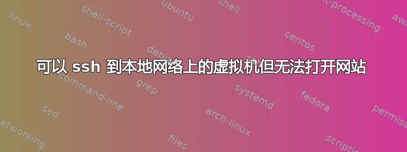 可以 ssh 到本地网络上的虚拟机但无法打开网站