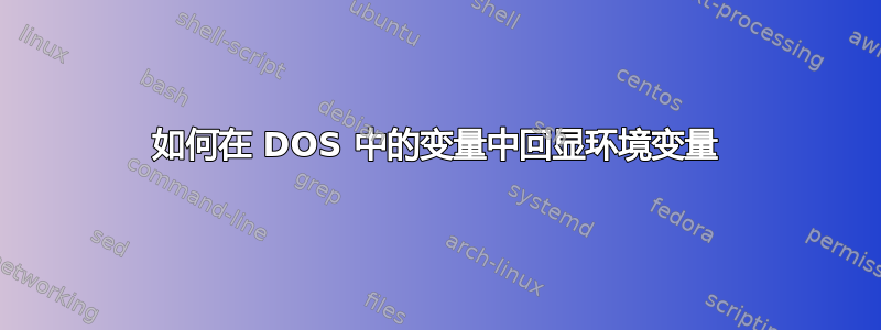 如何在 DOS 中的变量中回显环境变量