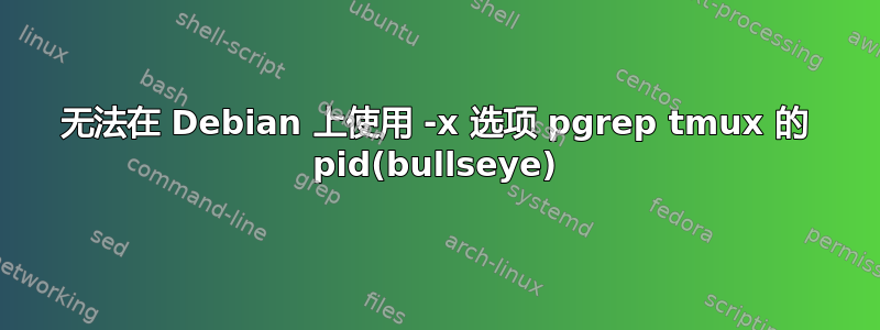 无法在 Debian 上使用 -x 选项 pgrep tmux 的 pid(bullseye)