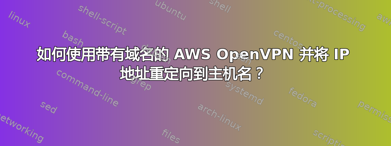 如何使用带有域名的 AWS OpenVPN 并将 IP 地址重定向到主机名？