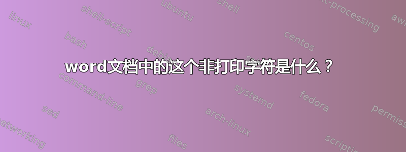 word文档中的这个非打印字符是什么？