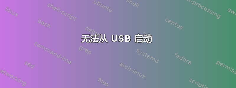 无法从 USB 启动