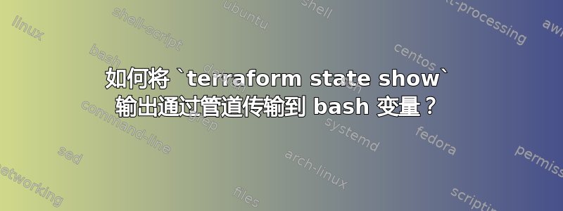 如何将 `terraform state show` 输出通过管道传输到 bash 变量？