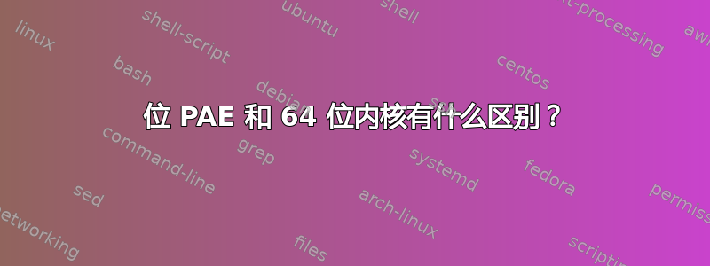 32 位 PAE 和 64 位内核有什么区别？