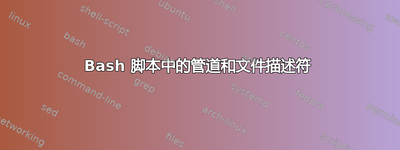 Bash 脚本中的管道和文件描述符