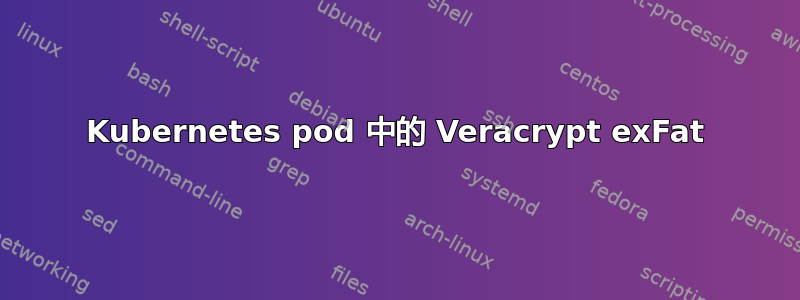 Kubernetes pod 中的 Veracrypt exFat