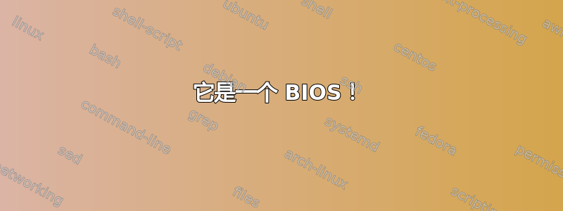 它是一个 BIOS！