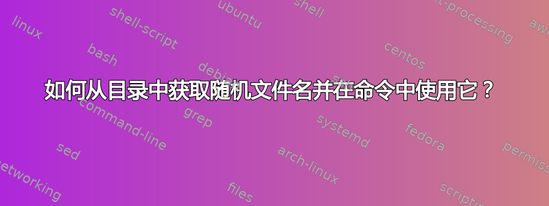 如何从目录中获取随机文件名并在命令中使用它？