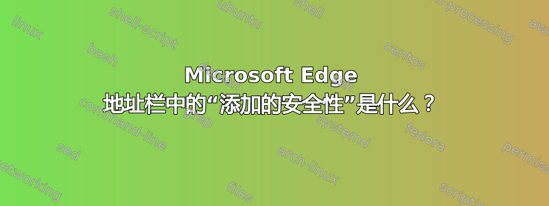 Microsoft Edge 地址栏中的“添加的安全性”是什么？