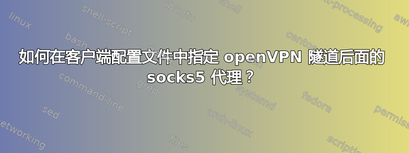 如何在客户端配置文件中指定 openVPN 隧道后面的 socks5 代理？