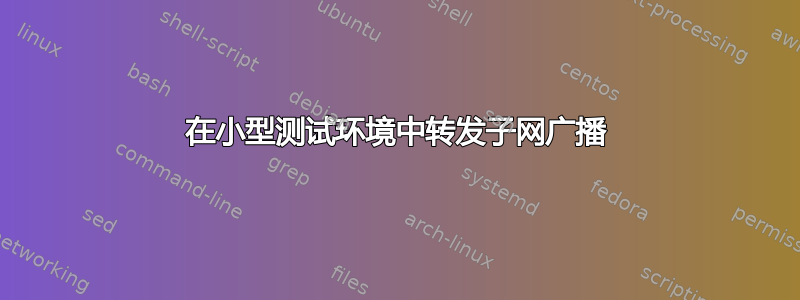 在小型测试环境中转发子网广播