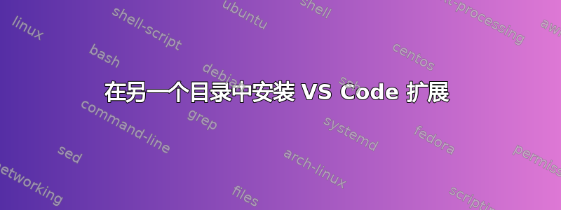 在另一个目录中安装 VS Code 扩展