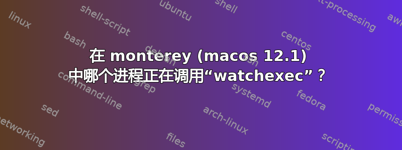 在 monterey (macos 12.1) 中哪个进程正在调用“watchexec”？