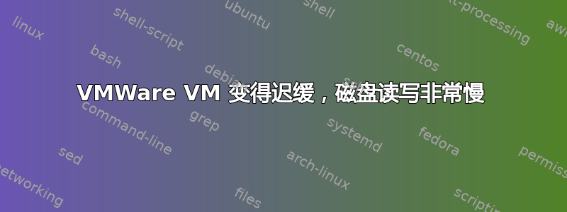 VMWare VM 变得迟缓，磁盘读写非常慢