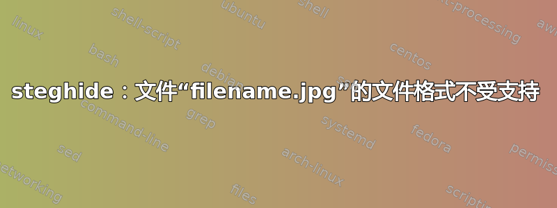 steghide：文件“filename.jpg”的文件格式不受支持