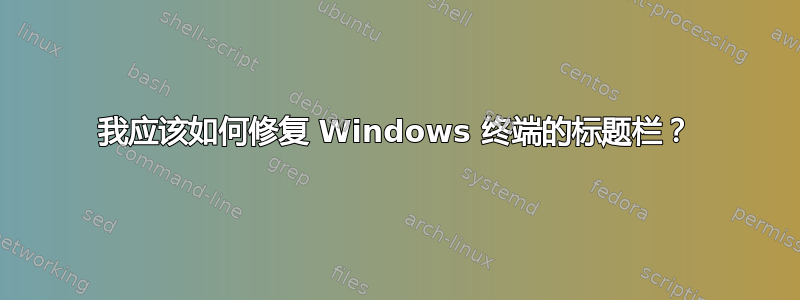 我应该如何修复 Windows 终端的标题栏？