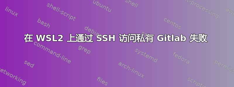 在 WSL2 上通过 SSH 访问私有 Gitlab 失败