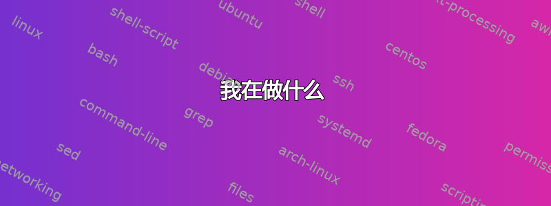 我在做什么