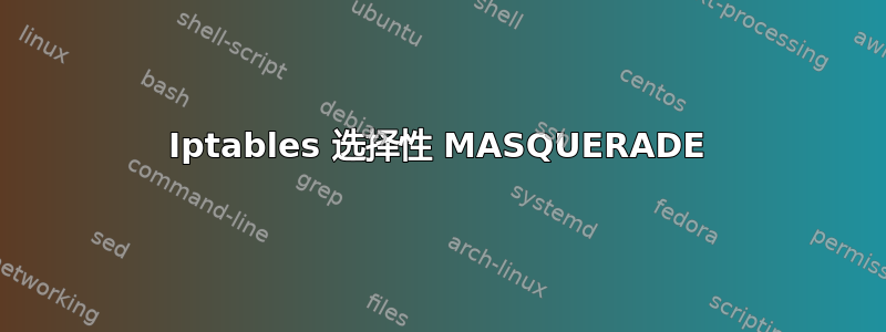 Iptables 选择性 MASQUERADE