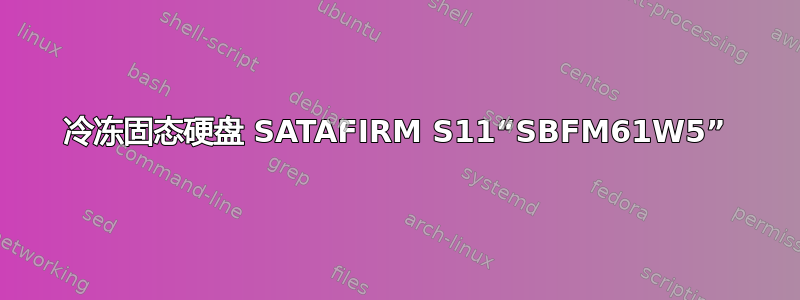 冷冻固态硬盘 SATAFIRM S11“SBFM61W5”