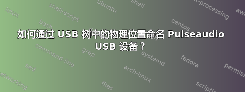 如何通过 USB 树中的物理位置命名 Pulseaudio USB 设备？