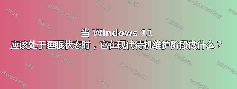 当 Windows 11 应该处于睡眠状态时，它在现代待机维护阶段做什么？