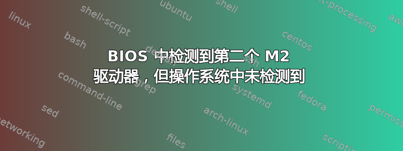 BIOS 中检测到第二个 M2 驱动器，但操作系统中未检测到