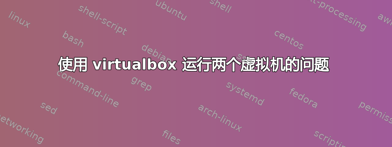 使用 virtualbox 运行两个虚拟机的问题