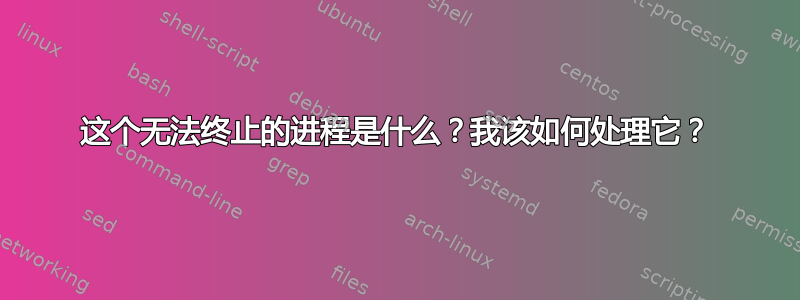 这个无法终止的进程是什么？我该如何处理它？