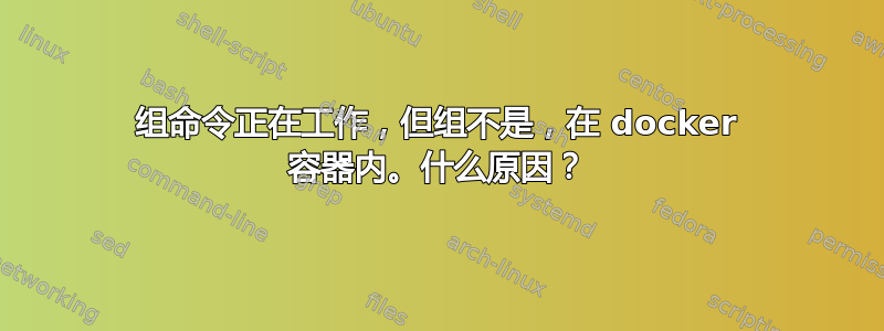 组命令正在工作，但组不是，在 docker 容器内。什么原因？