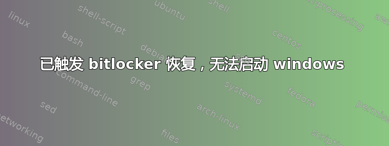 已触发 bitlocker 恢复，无法启动 windows