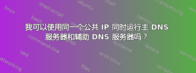 我可以使用同一个公共 IP 同时运行主 DNS 服务器和辅助 DNS 服务器吗？