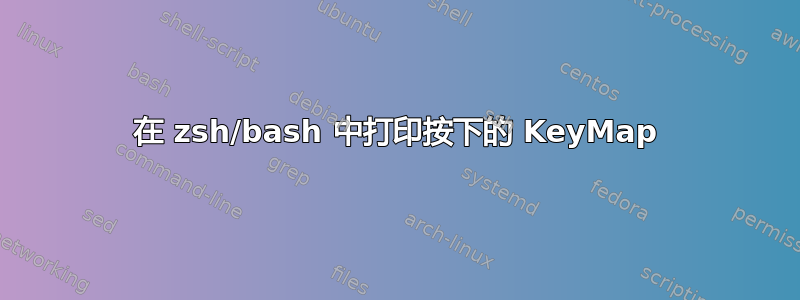 在 zsh/bash 中打印按下的 KeyMap