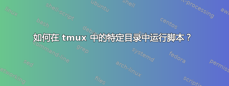 如何在 tmux 中的特定目录中运行脚本？