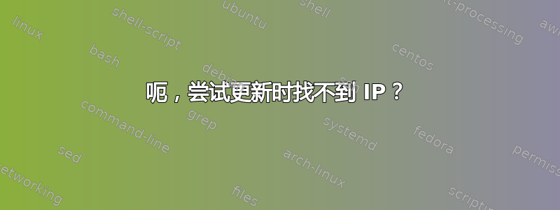 呃，尝试更新时找不到 IP？