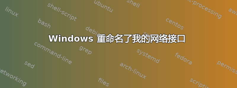 Windows 重命名了我的网络接口