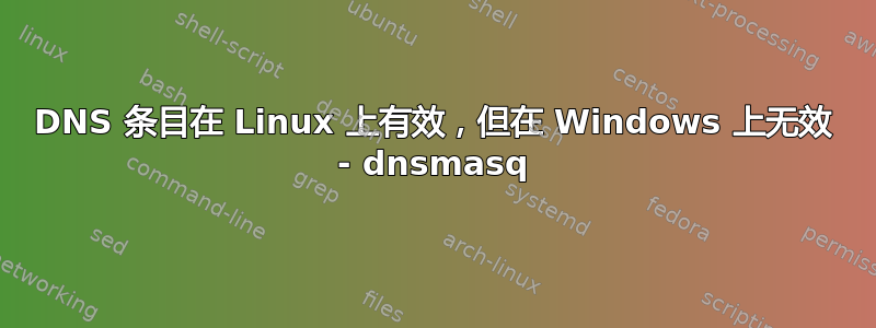 DNS 条目在 Linux 上有效，但在 Windows 上无效 - dnsmasq