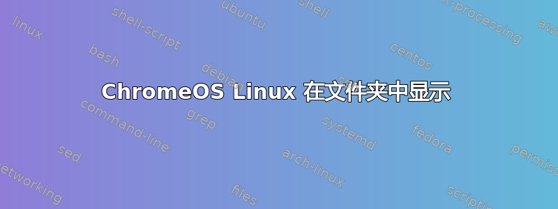 ChromeOS Linux 在文件夹中显示