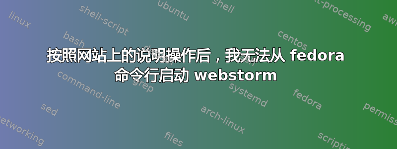 按照网站上的说明操作后，我无法从 fedora 命令行启动 webstorm