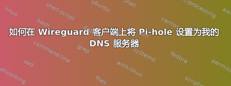 如何在 Wireguard 客户端上将 Pi-hole 设置为我的 DNS 服务器