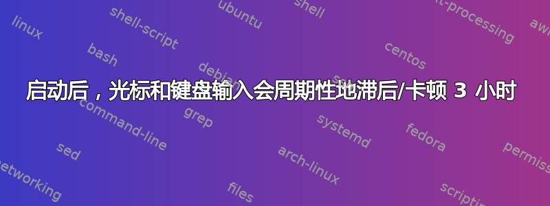 启动后，光标和键盘输入会周期性地滞后/卡顿 3 小时