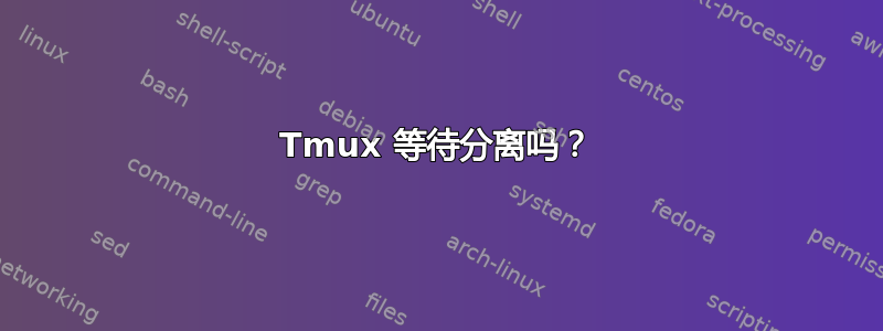 Tmux 等待分离吗？