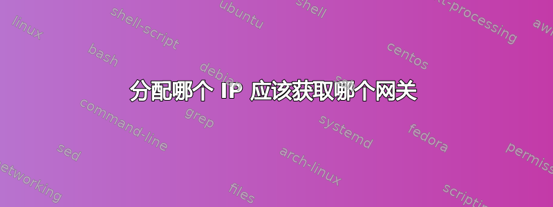 分配哪个 IP 应该获取哪个网关