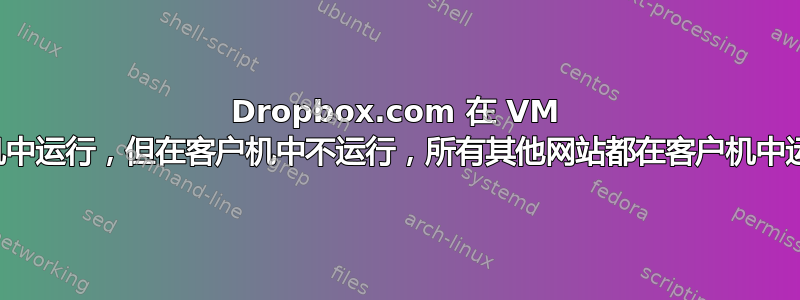 Dropbox.com 在 VM 主机中运行，但在客户机中不运行，所有其他网站都在客户机中运行