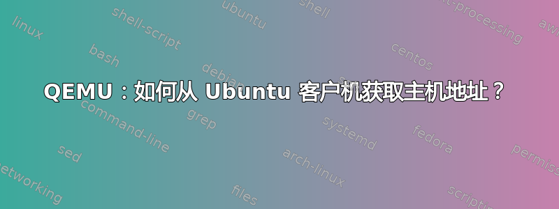 QEMU：如何从 Ubuntu 客户机获取主机地址？