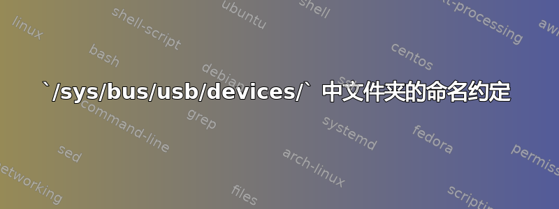 `/sys/bus/usb/devices/` 中文件夹的命名约定