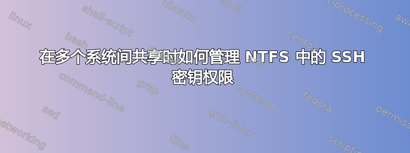 在多个系统间共享时如何管理 NTFS 中的 SSH 密钥权限